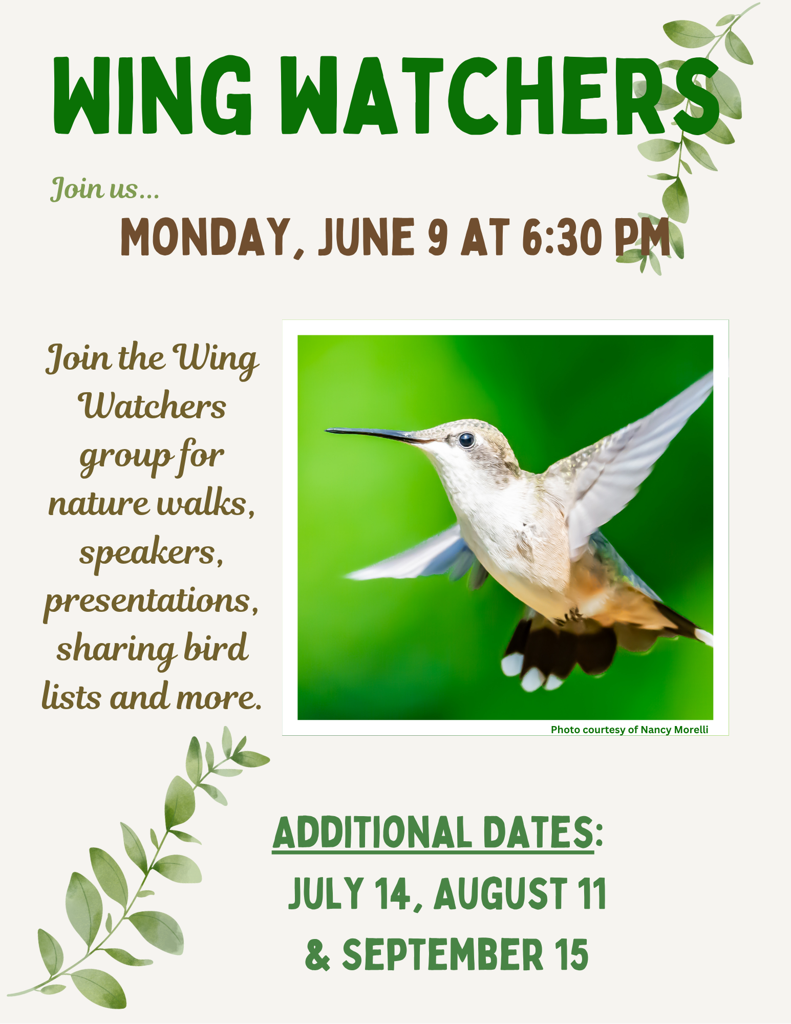 Birdwatchers (1).png