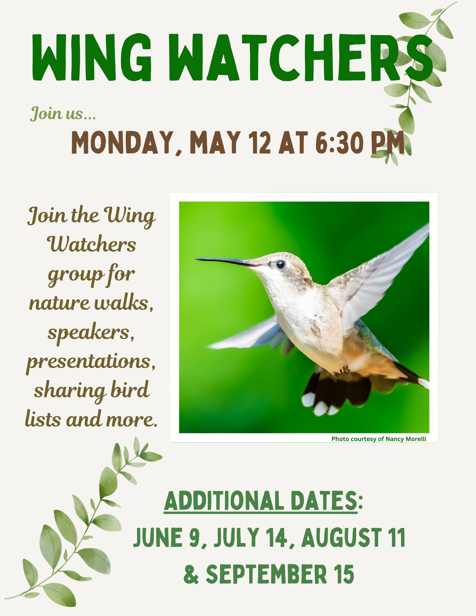 Birdwatchers (1).png