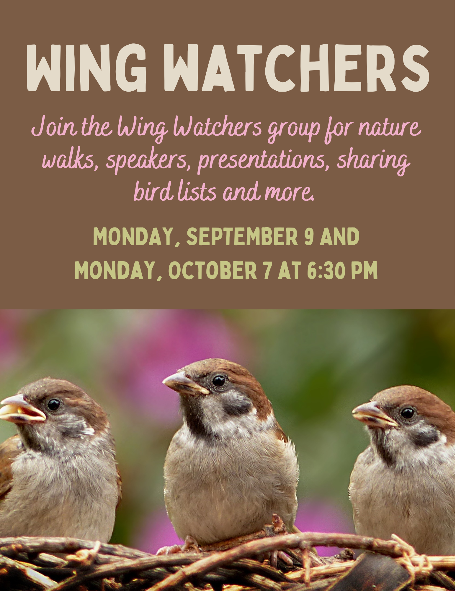 Birdwatchers (4).png