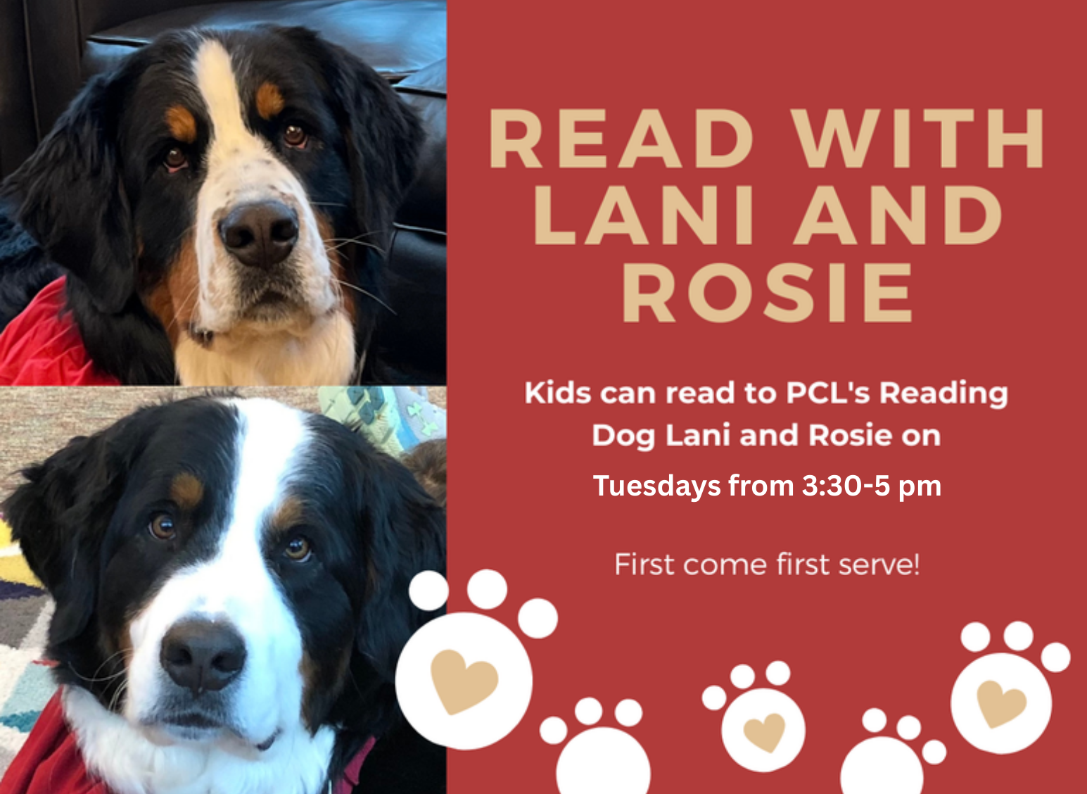 Reading Dog.png