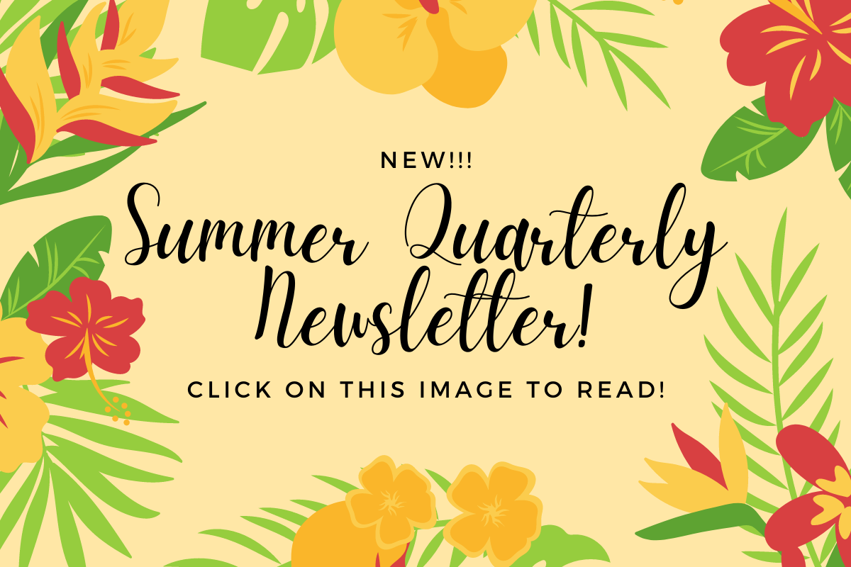 Summer Newsletter Canva Image 2021.png